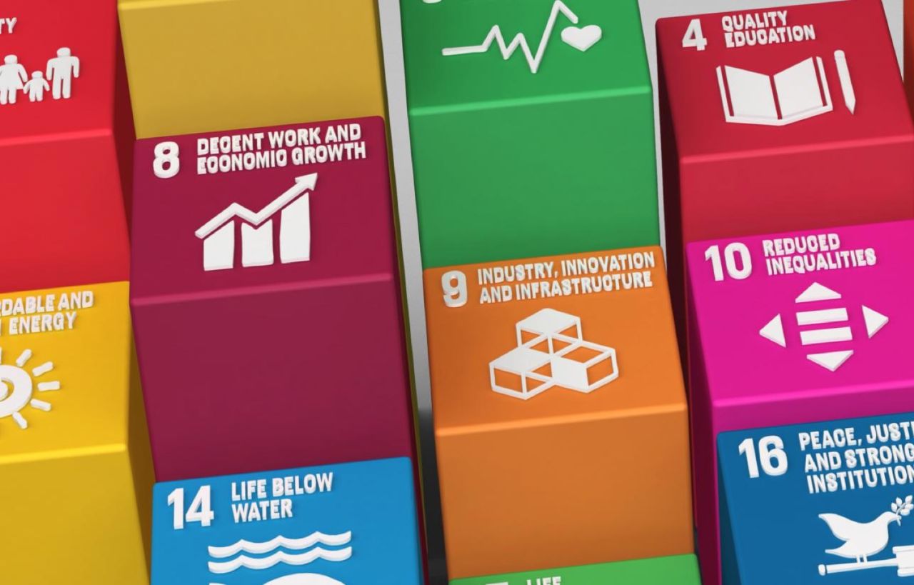 17-sustainable-development-goals-colruyt-group